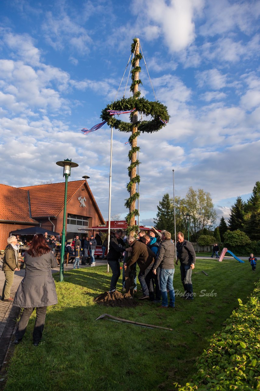 Bild 72 - Maibaum